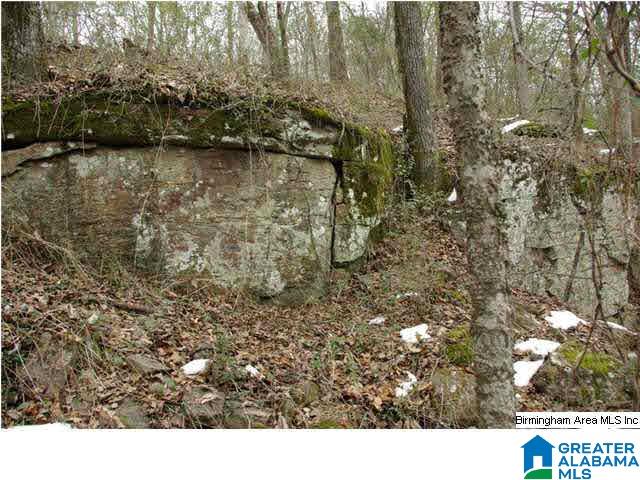 33 County Road, Unit 48 Oneonta, AL 35121 - Photo 16 of 33