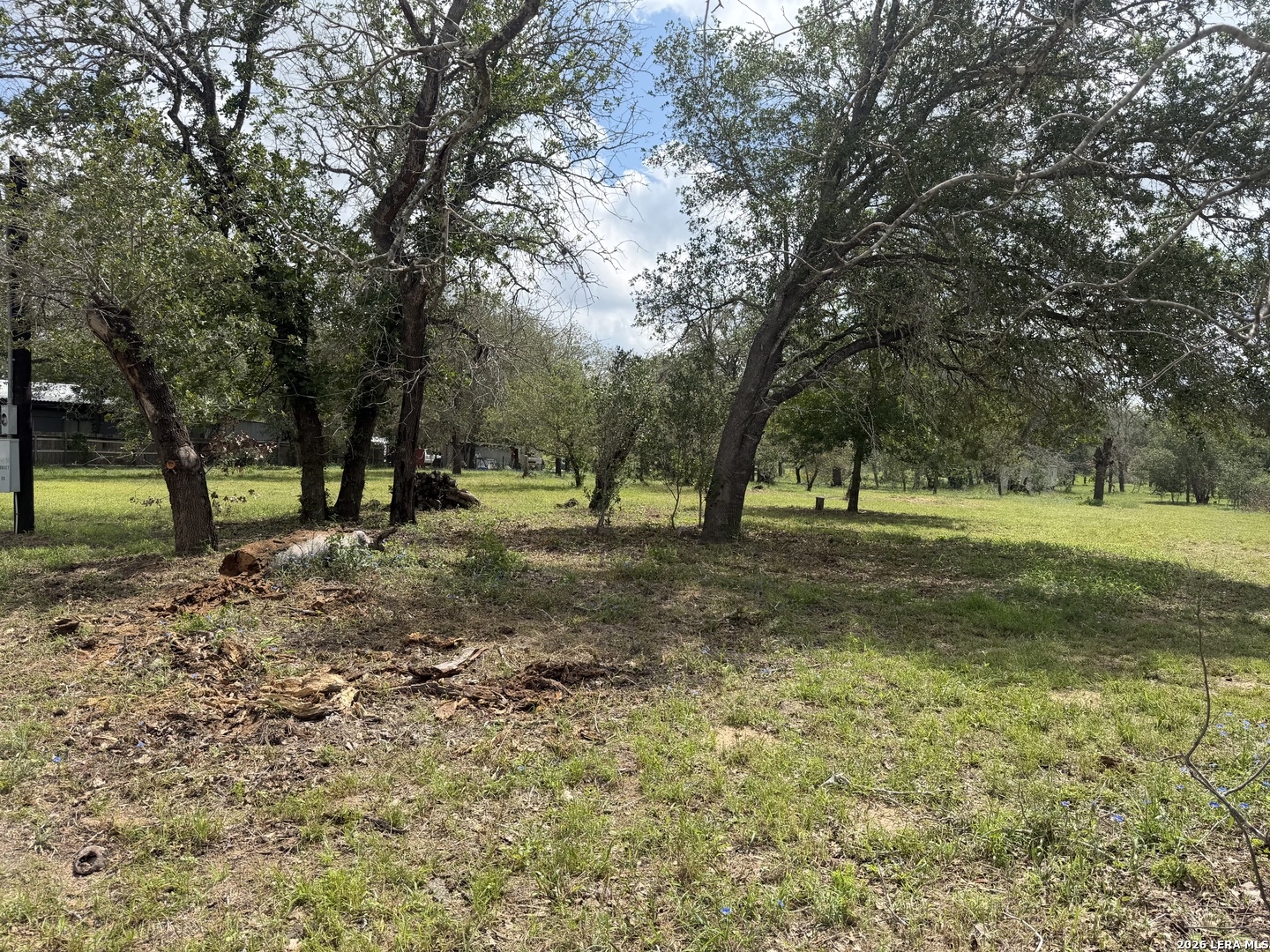 25594 Sunset Road San Antonio, TX 78264 - Photo 3 of 7 a view of outdoor space with trees