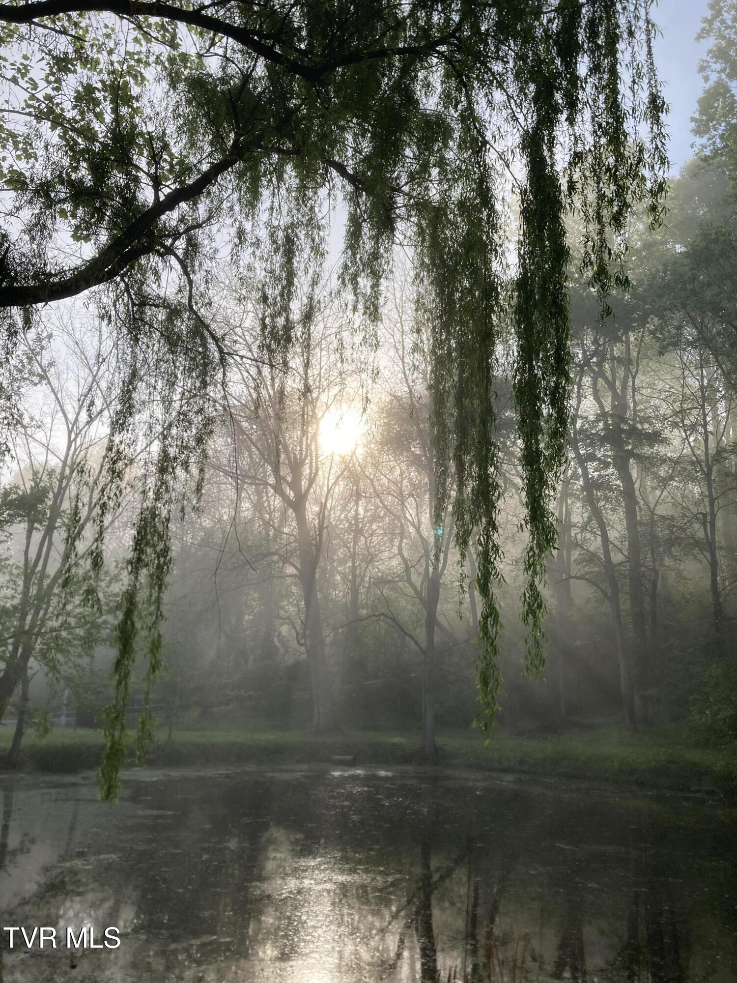 140 Gov Alf Taylor Road Johnson City, TN 37601 - Photo 30 of 49 IMG_5406