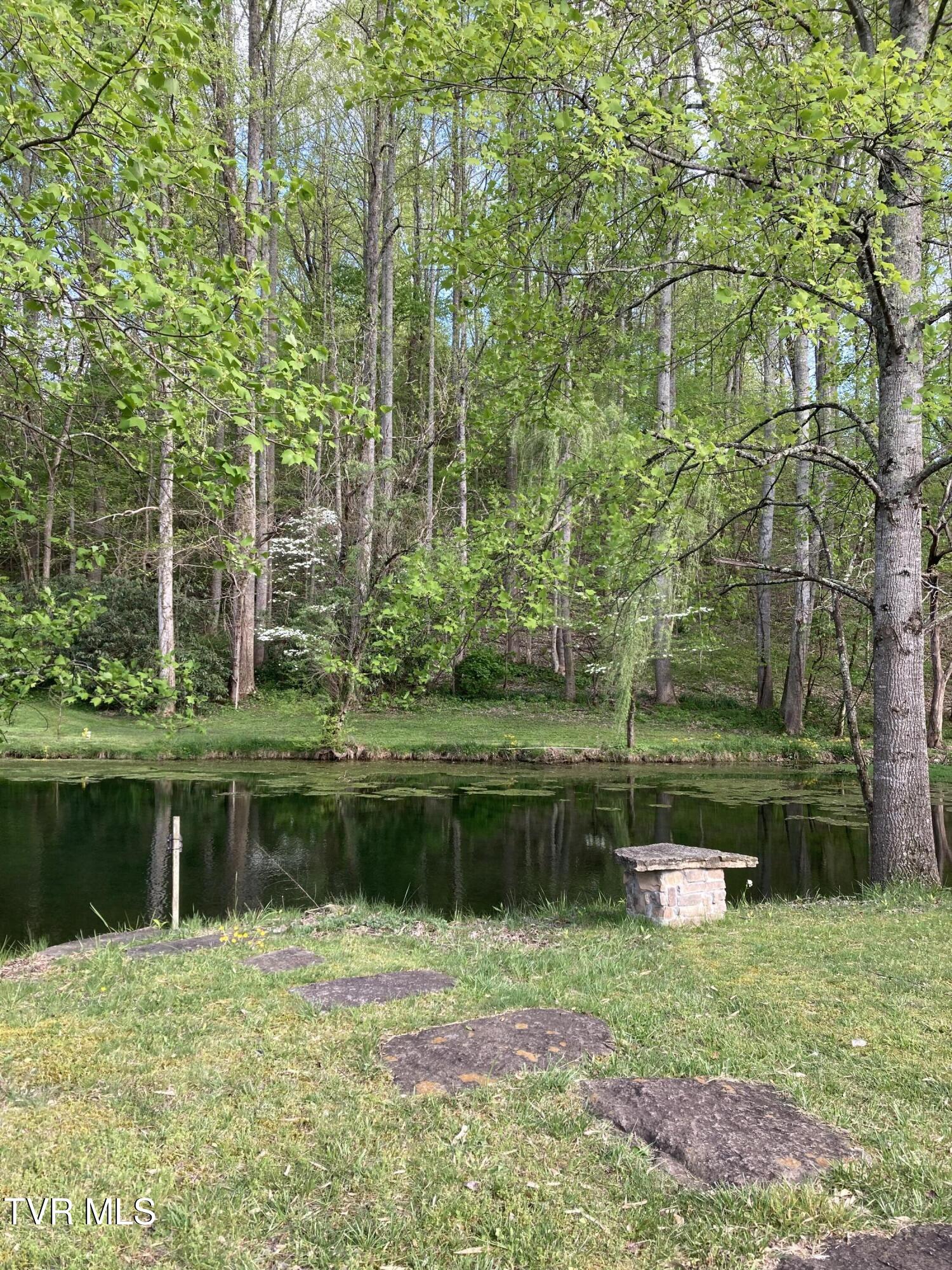 140 Gov Alf Taylor Road Johnson City, TN 37601 - Photo 32 of 49 IMG_3609