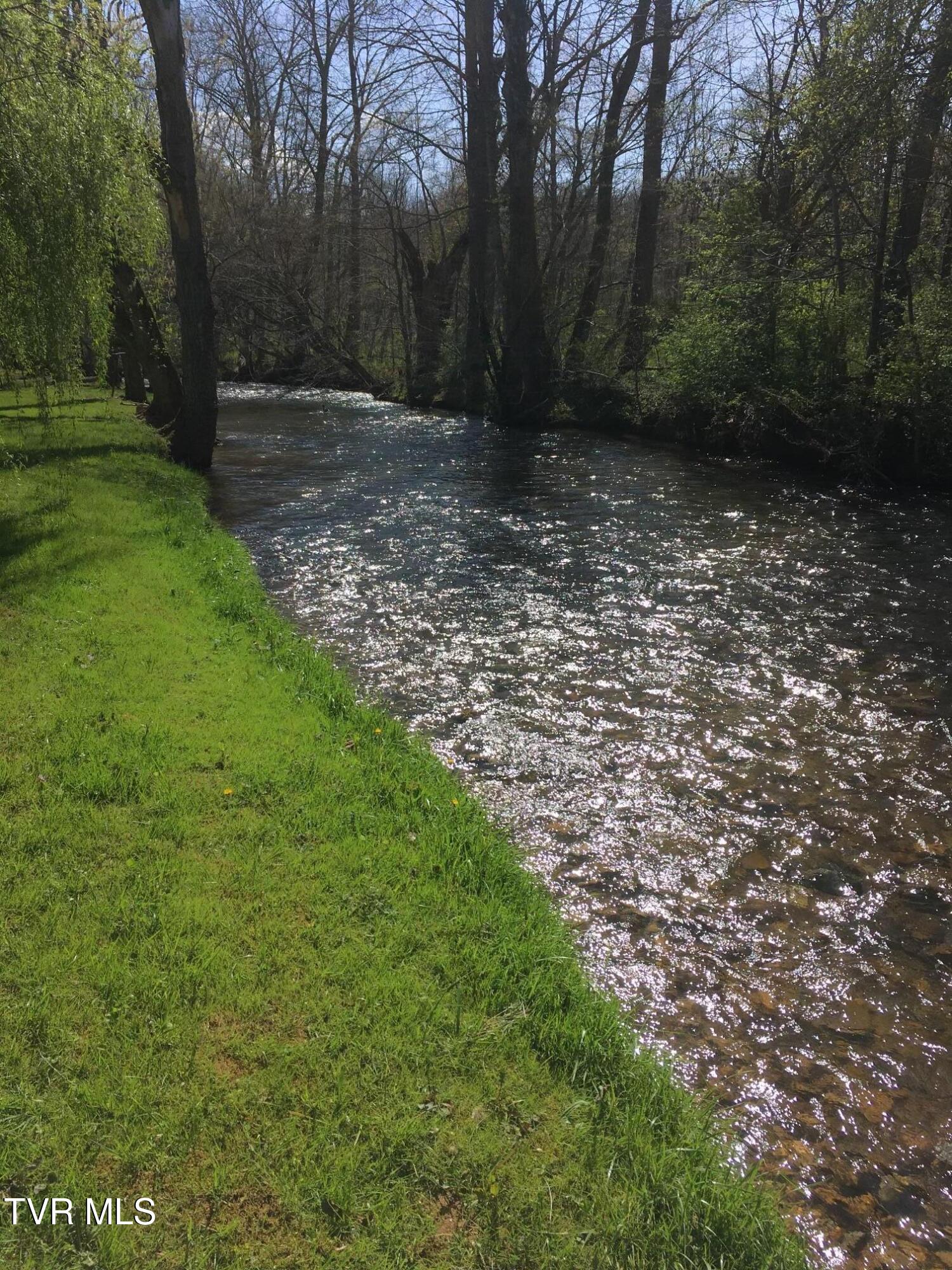 140 Gov Alf Taylor Road Johnson City, TN 37601 - Photo 45 of 49 IMG_8664