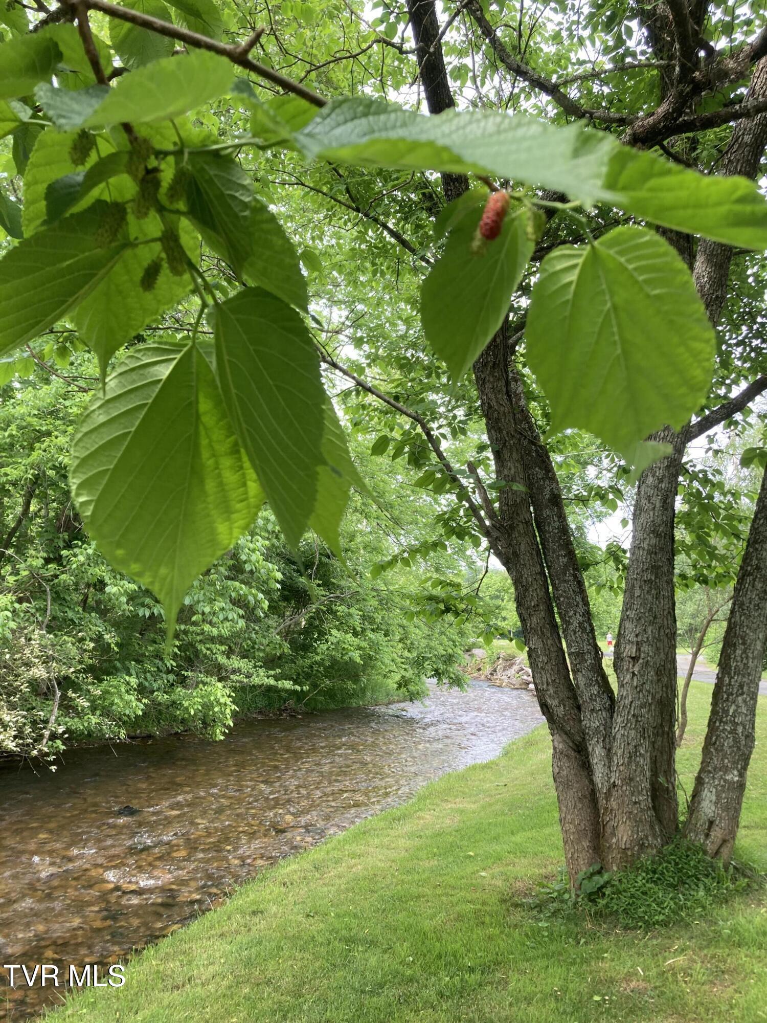 140 Gov Alf Taylor Road Johnson City, TN 37601 - Photo 47 of 49 IMG_3997
