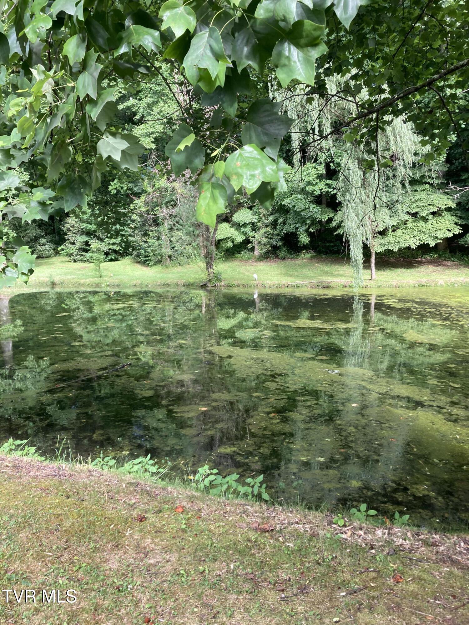 140 Gov Alf Taylor Road Johnson City, TN 37601 - Photo 48 of 49 IMG_4632