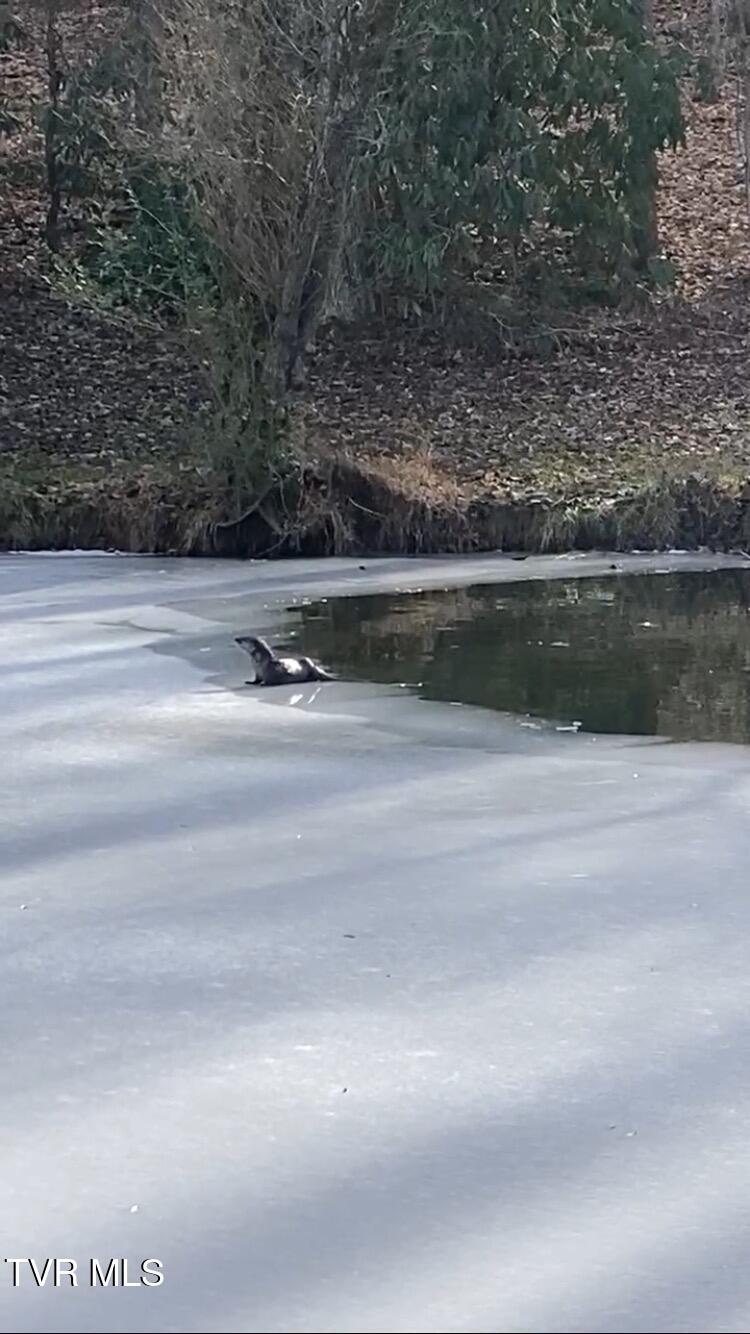 140 Gov Alf Taylor Road Johnson City, TN 37601 - Photo 49 of 49 IMG_1448