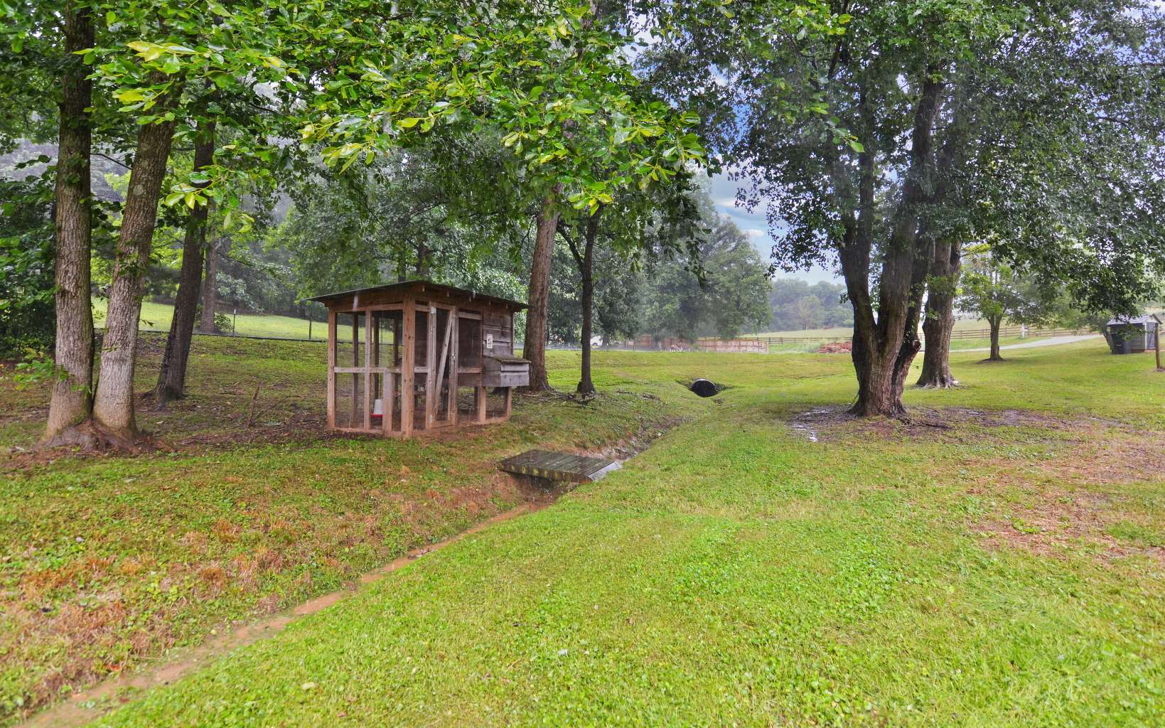 483 Parker Road Ellijay, GA 30536 - Photo 26 of 33 a view of a backyard with large trees