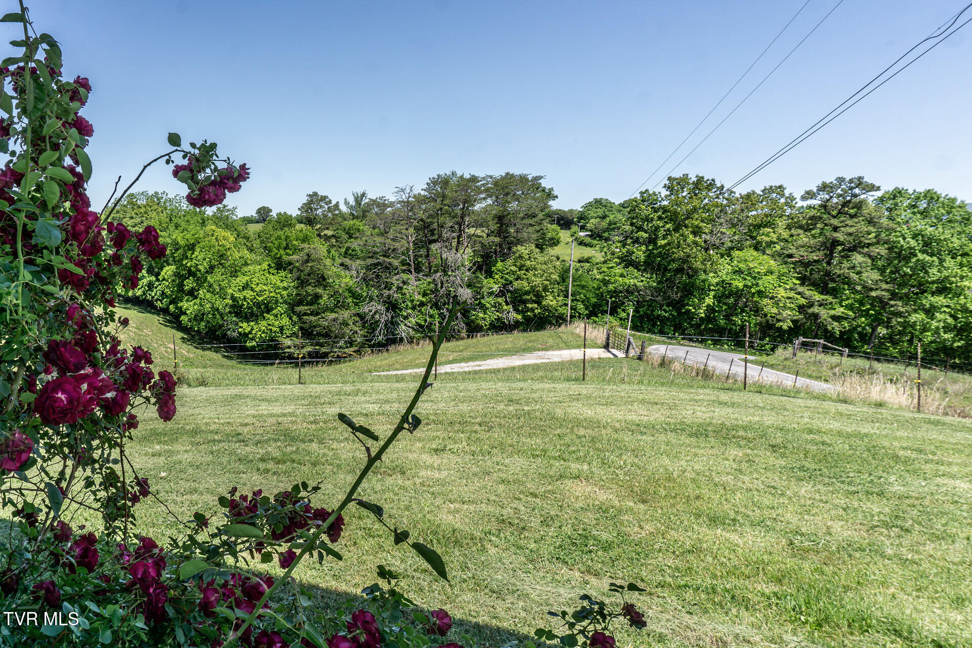 180 South Mill Road Greeneville, TN 37743 - Photo 65 of 65 180SMillG_070