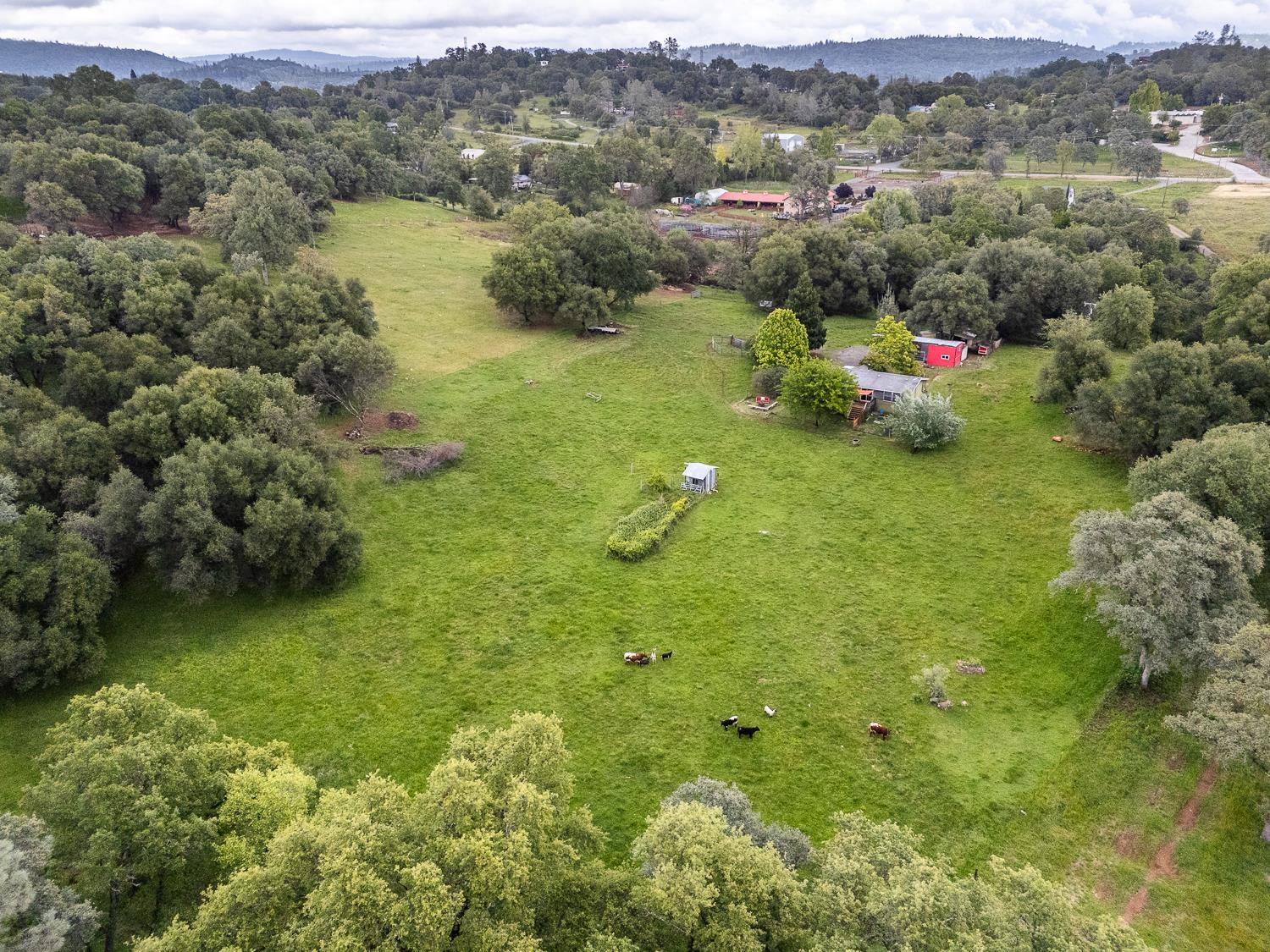 16220 Duggans Road Grass Valley, CA 95949 - Photo 30 of 47