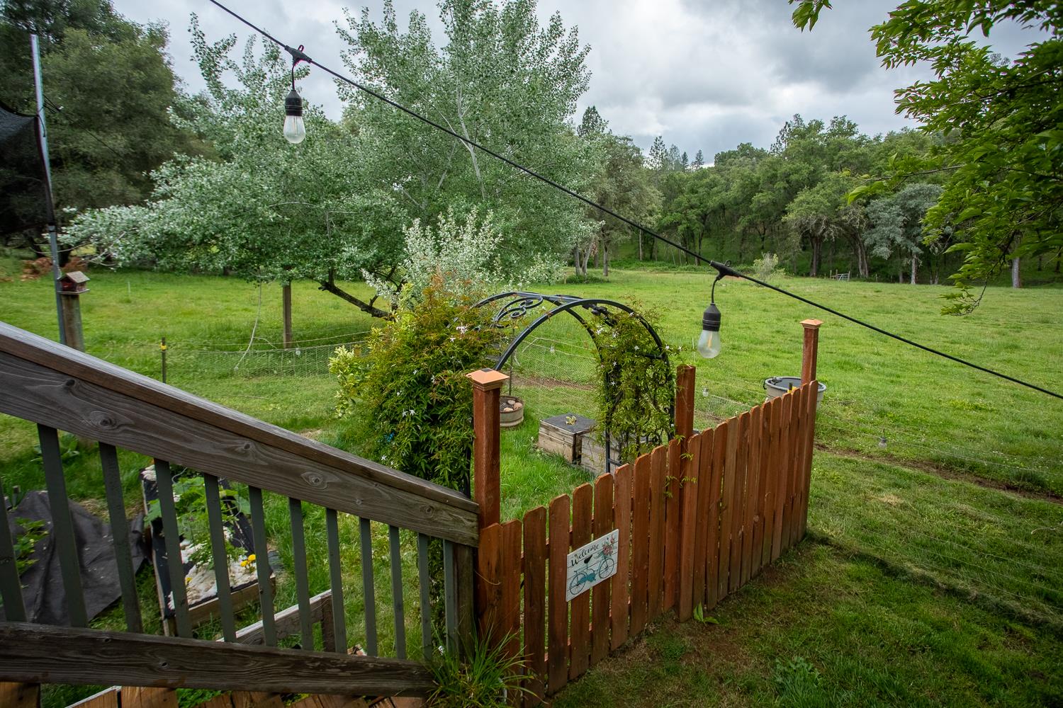 16220 Duggans Road Grass Valley, CA 95949 - Photo 37 of 47