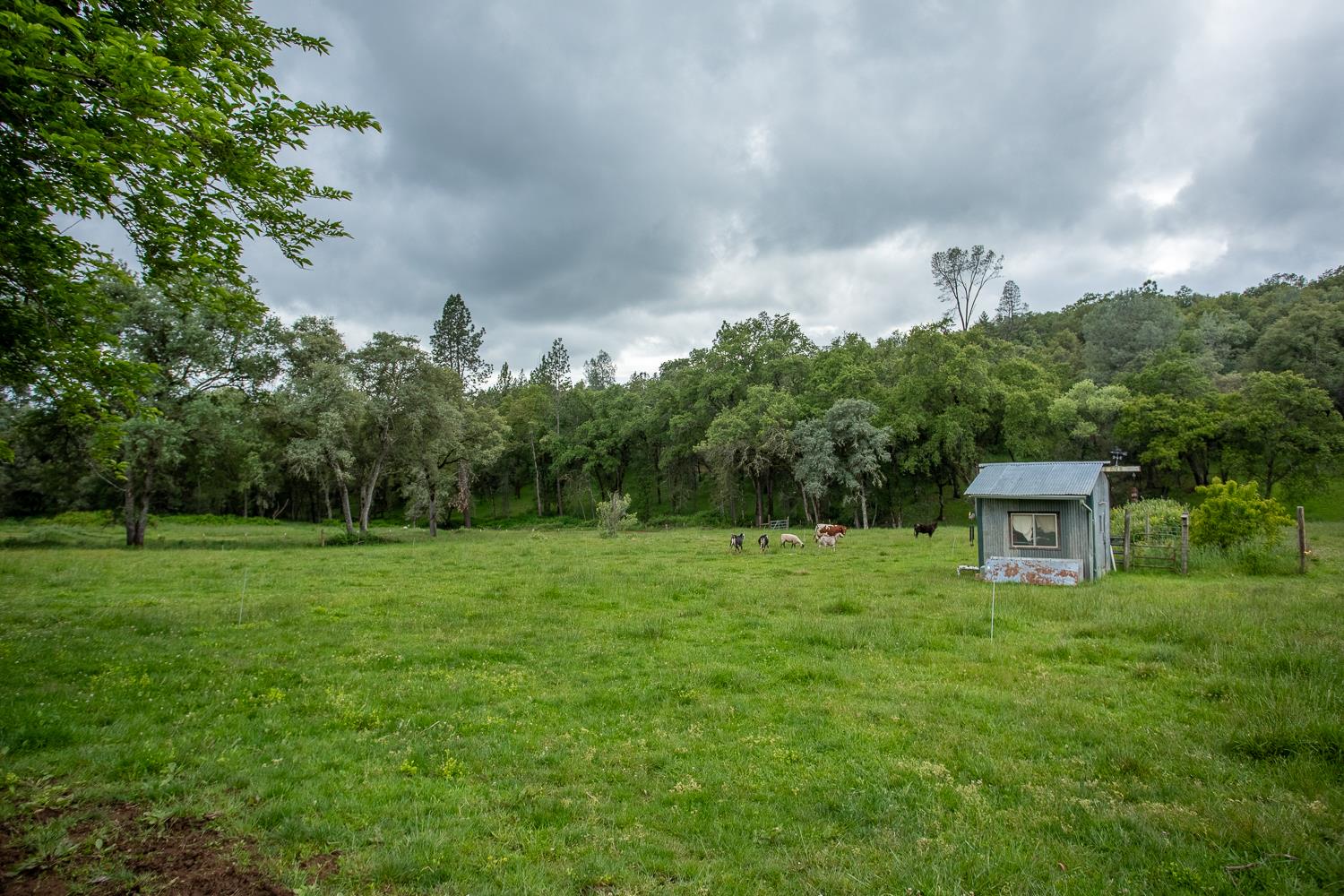 16220 Duggans Road Grass Valley, CA 95949 - Photo 44 of 47