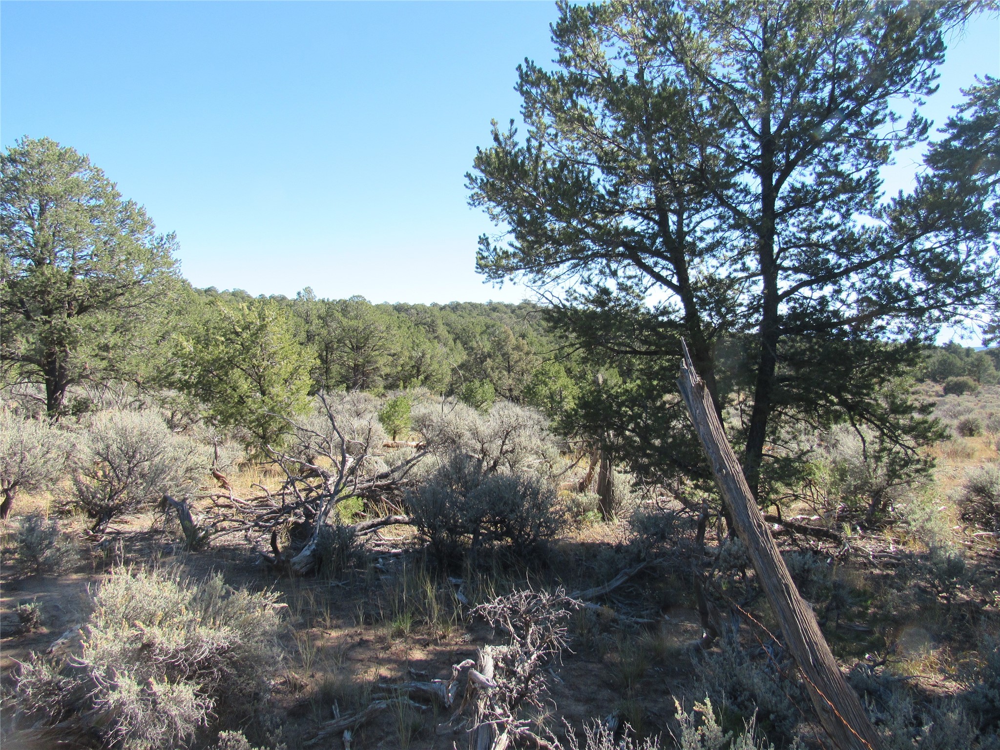 Lot 57 Servilleta Carson, NM 87517 - Photo 2 of 10