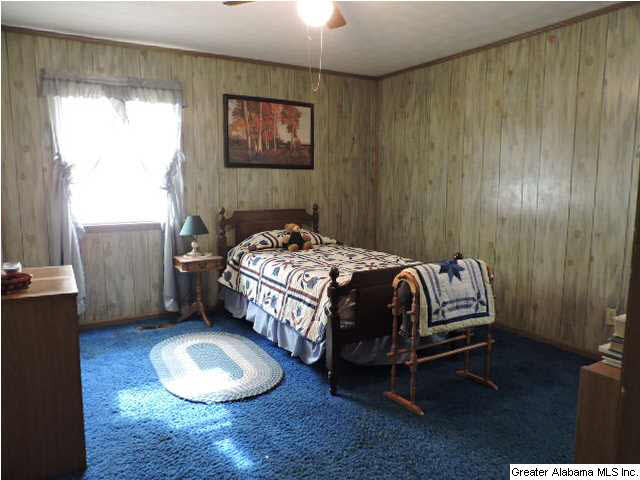 829 West Broad Street Wedowee, AL 36278 - Photo 10 of 21