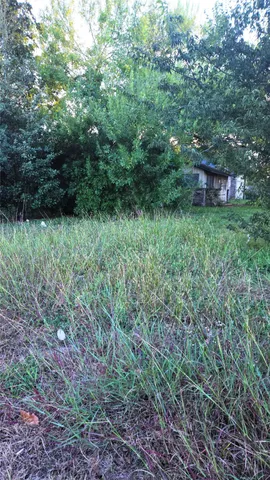 a view of a lush green forest with lots of trees