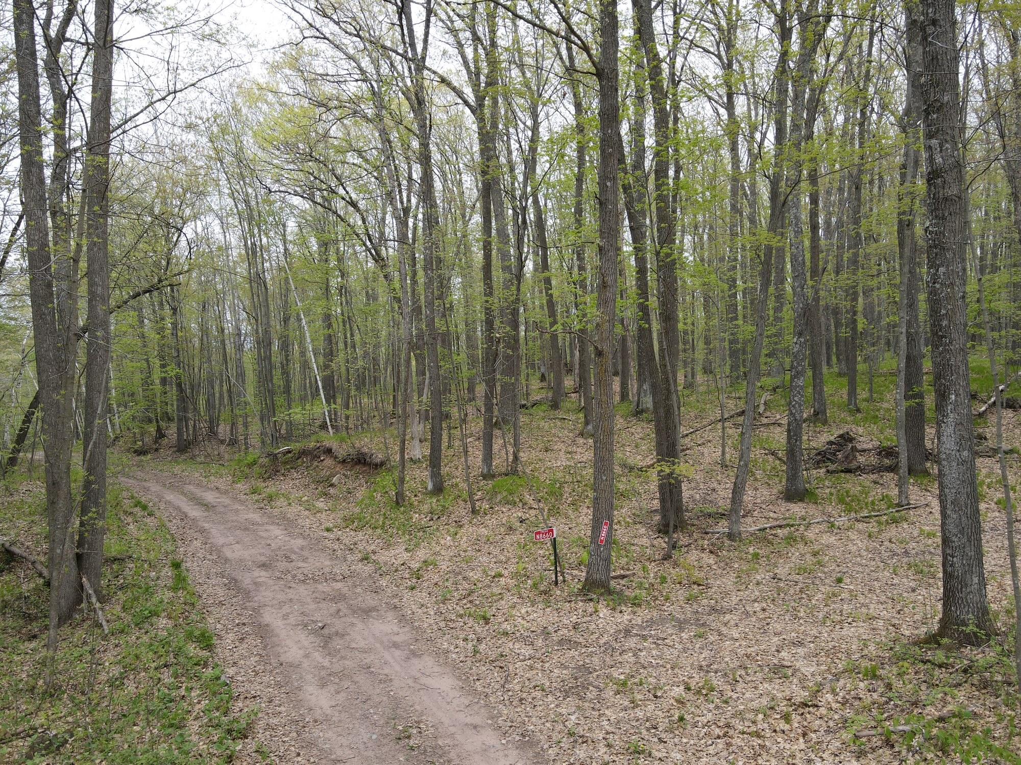 N8661 Sand Pit Road Trego, WI 54888 - Photo 3 of 20