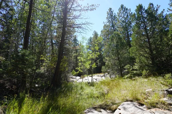$250,000 | 2871 Marcy Road, Westcliffe, CO 81252