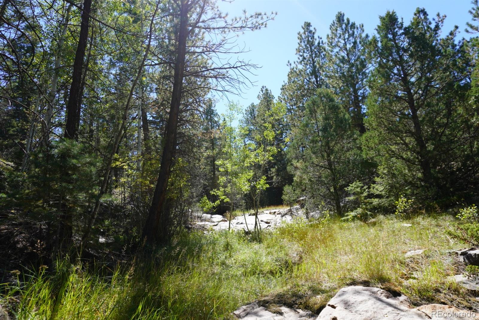 2871 Marcy Road Westcliffe, CO 81252 - Photo 11 of 25