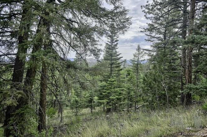 2871 Marcy Road Westcliffe, CO 81252 - Photo 12 of 25