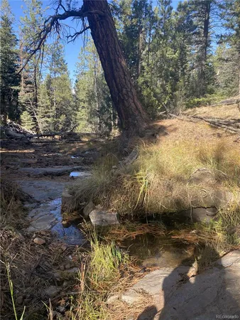 $250,000 | 2871 Marcy Road, Westcliffe, CO 81252