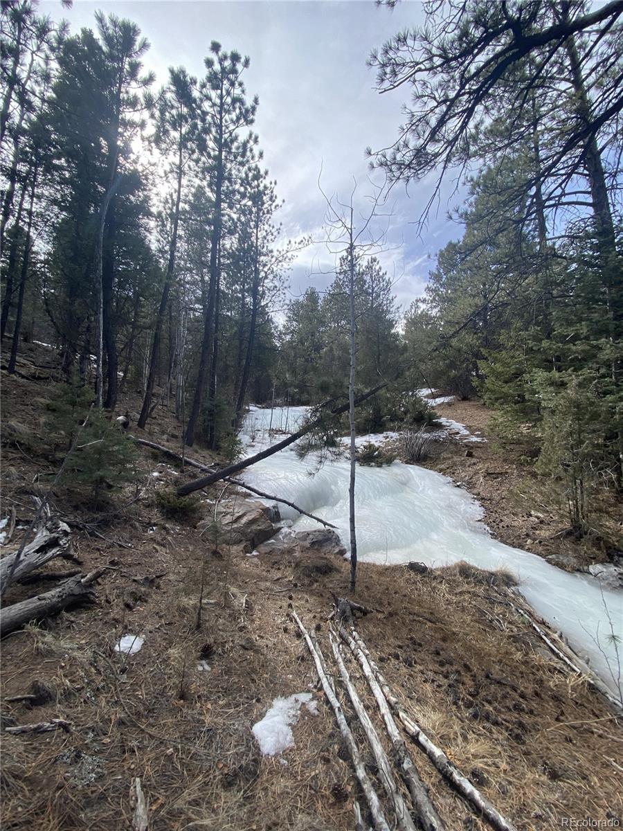 2871 Marcy Road Westcliffe, CO 81252 - Photo 14 of 25