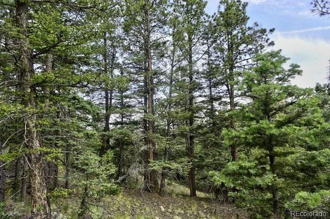 2871 Marcy Road Westcliffe, CO 81252 - Photo 15 of 25