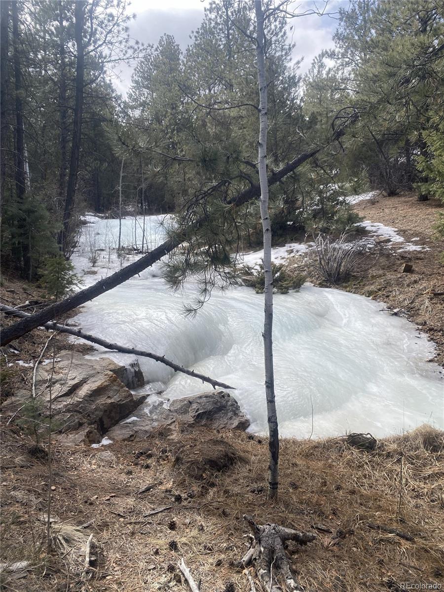 2871 Marcy Road Westcliffe, CO 81252 - Photo 16 of 25