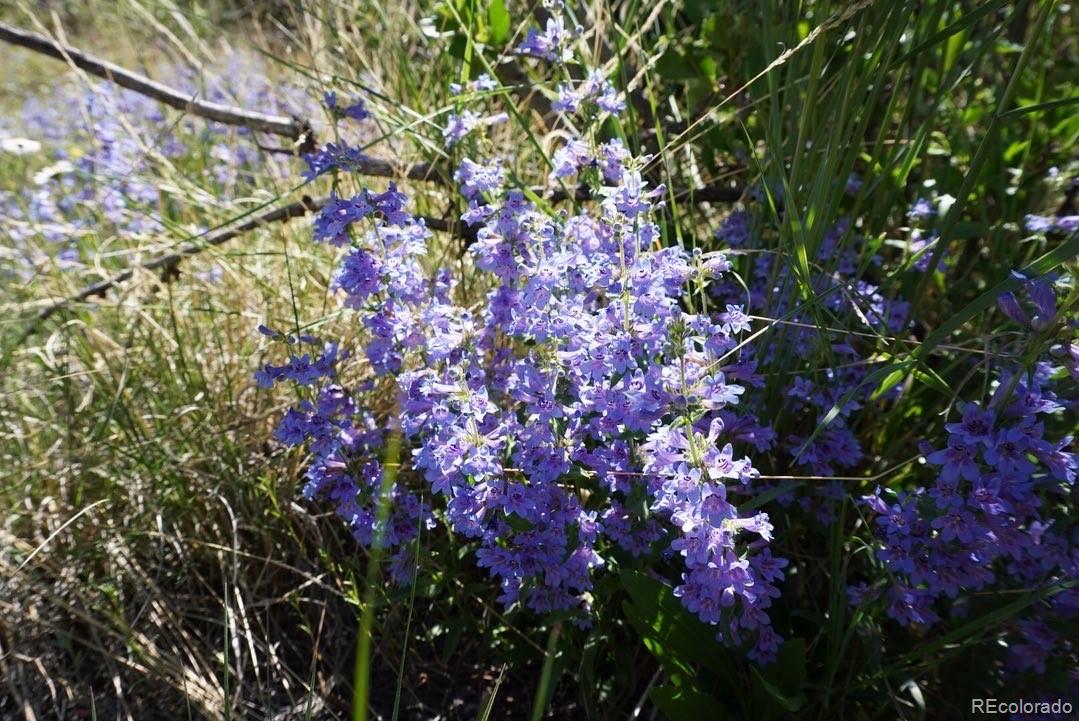 2871 Marcy Road Westcliffe, CO 81252 - Photo 17 of 25