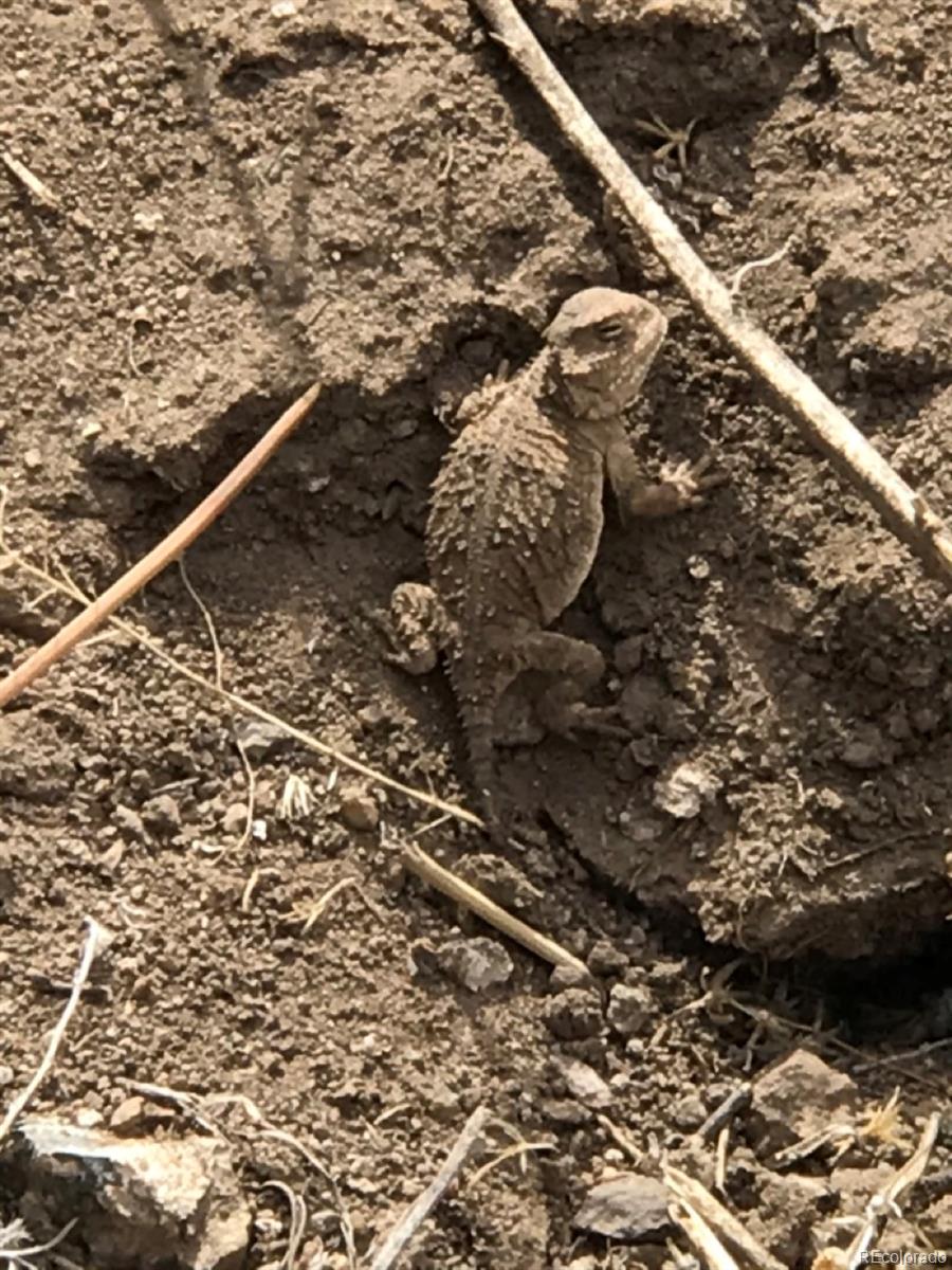 2871 Marcy Road Westcliffe, CO 81252 - Photo 18 of 25