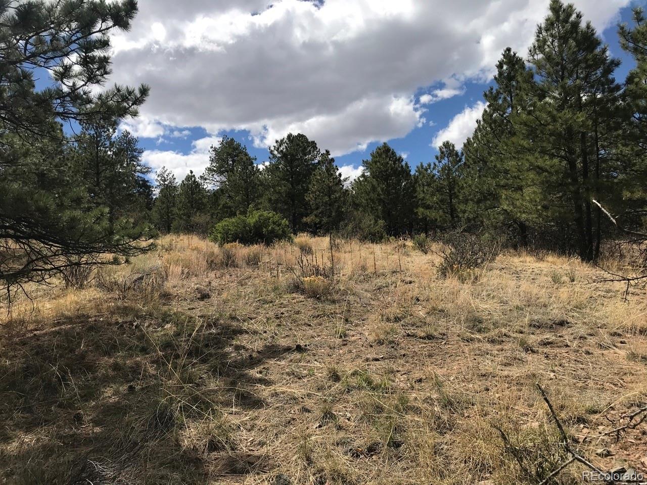 2871 Marcy Road Westcliffe, CO 81252 - Photo 2 of 25