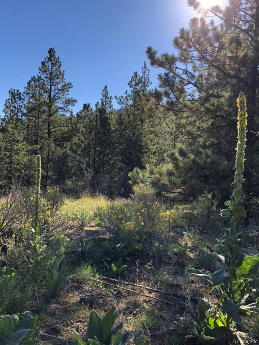 2871 Marcy Road Westcliffe, CO 81252 - Photo 21 of 25