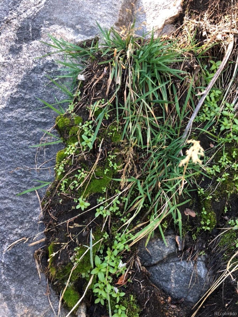 2871 Marcy Road Westcliffe, CO 81252 - Photo 22 of 25