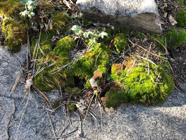 $250,000 | 2871 Marcy Road, Westcliffe, CO 81252