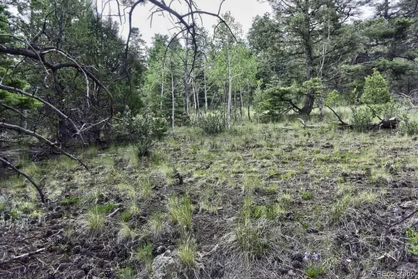 $250,000 | 2871 Marcy Road, Westcliffe, CO 81252