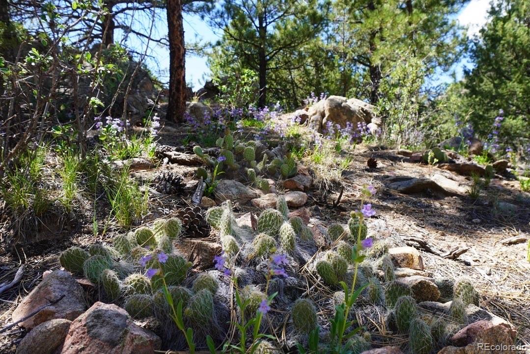 2871 Marcy Road Westcliffe, CO 81252 - Photo 5 of 25