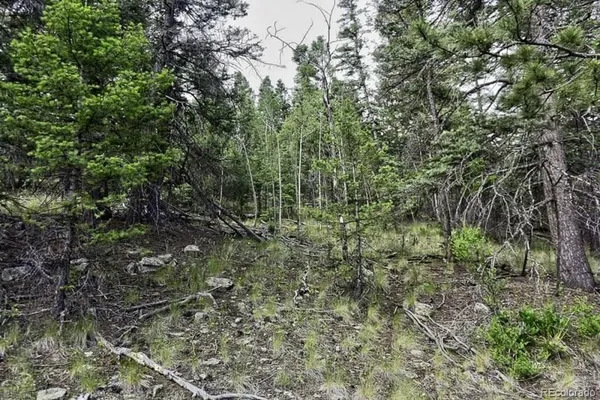 $250,000 | 2871 Marcy Road, Westcliffe, CO 81252