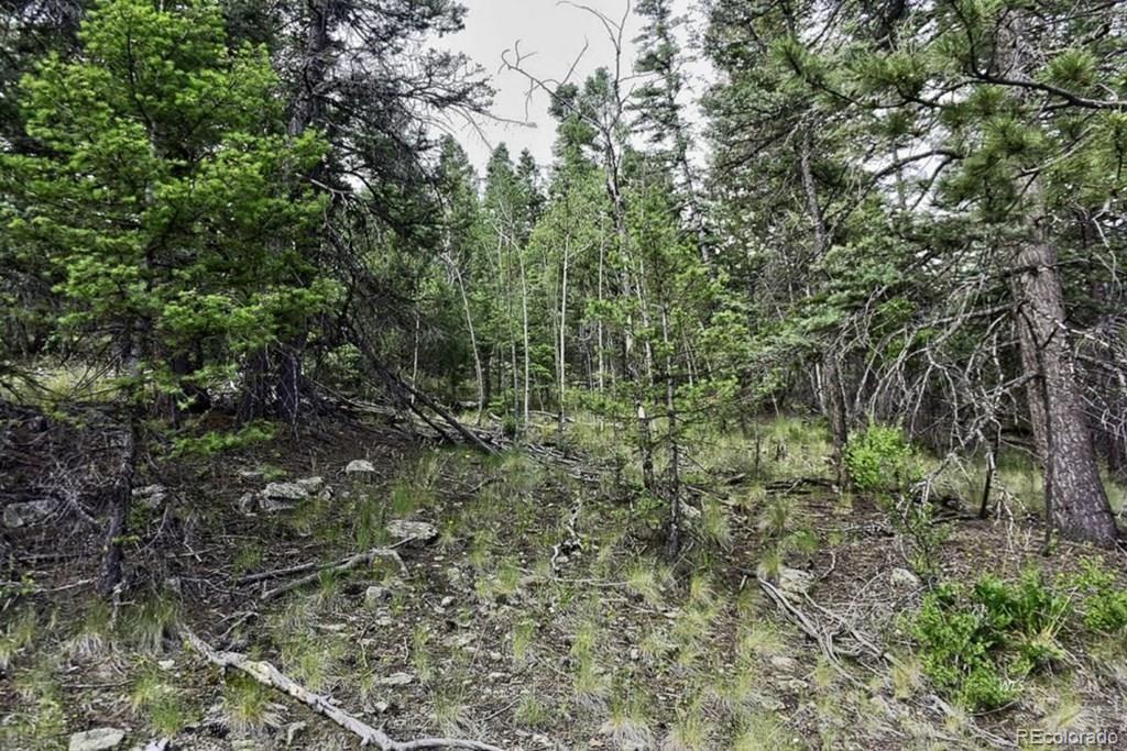 2871 Marcy Road Westcliffe, CO 81252 - Photo 6 of 25