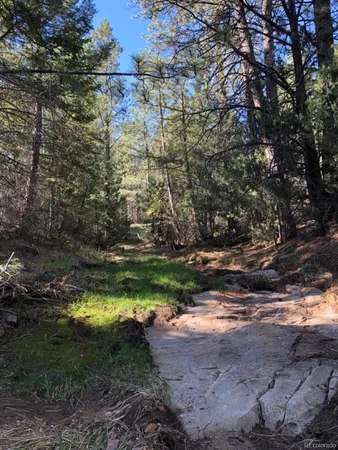 $250,000 | 2871 Marcy Road, Westcliffe, CO 81252