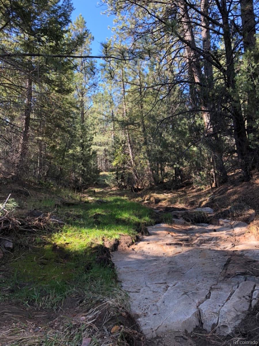 2871 Marcy Road Westcliffe, CO 81252 - Photo 7 of 25