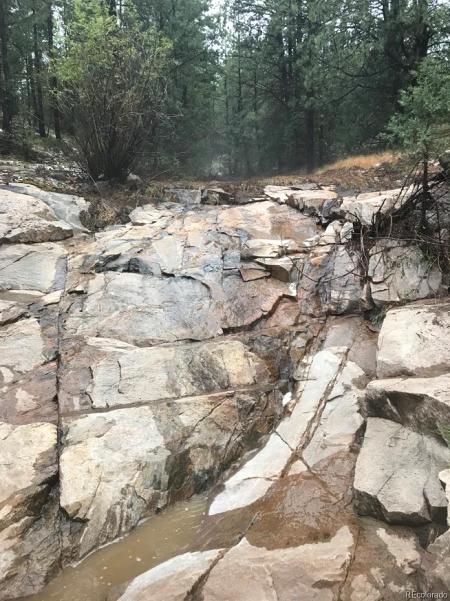 2871 Marcy Road Westcliffe, CO 81252 - Photo 8 of 25