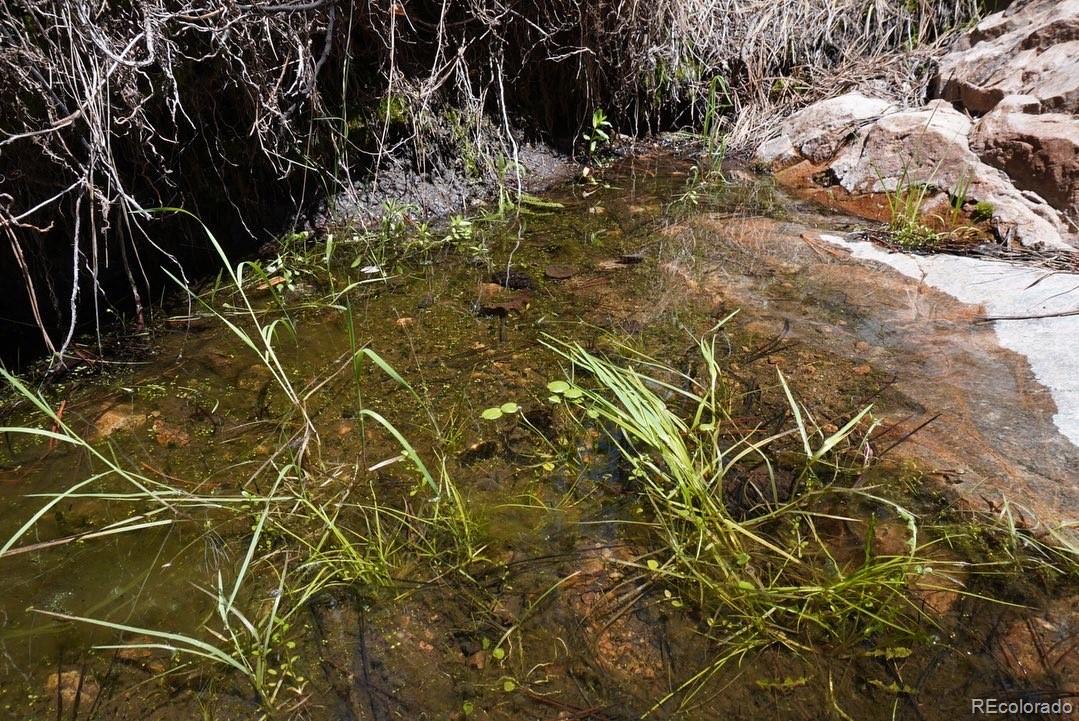 2871 Marcy Road Westcliffe, CO 81252 - Photo 9 of 25