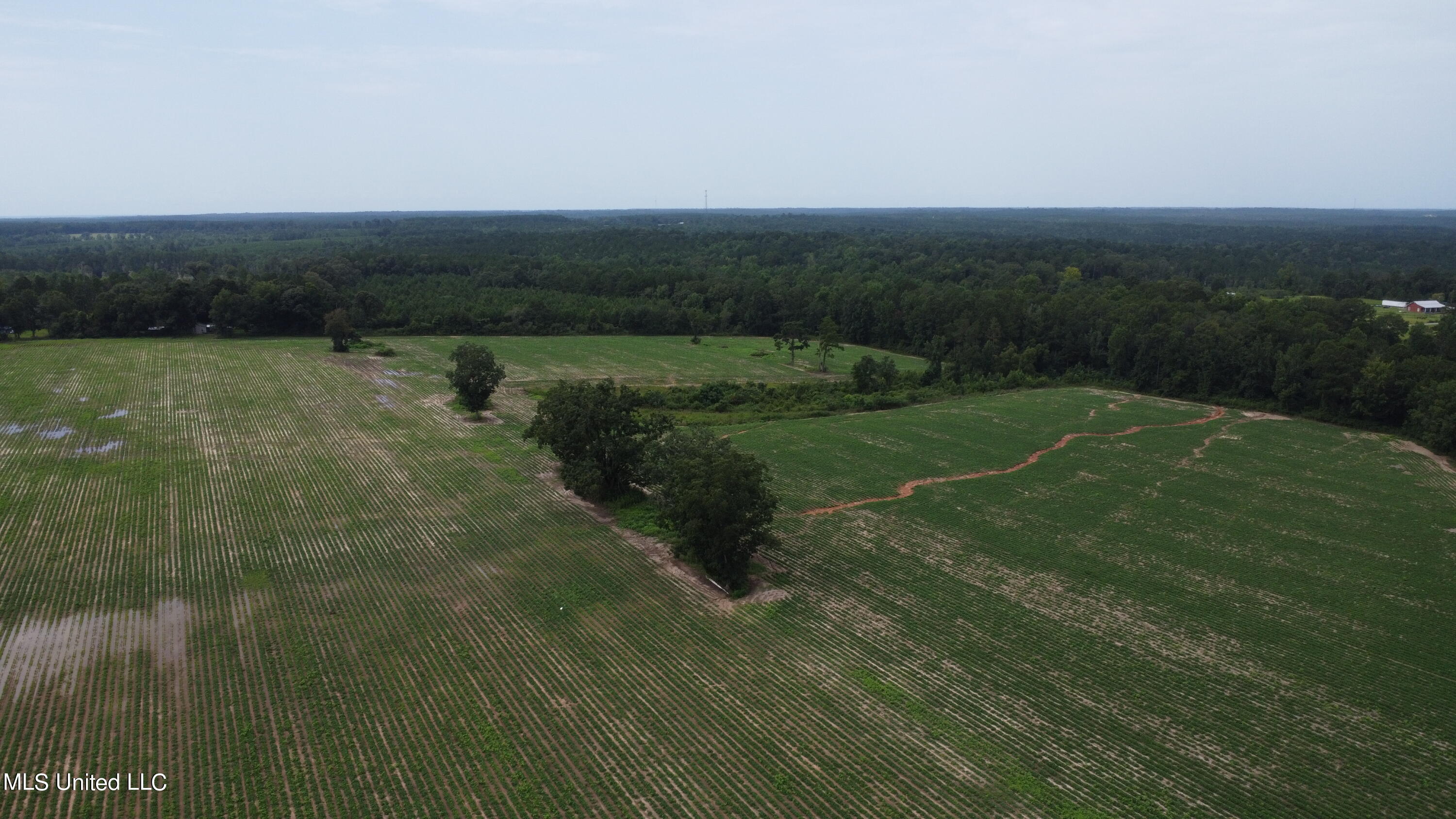 63 Highway 63 North Lucedale, MS 39452 - Photo 3 of 15 3