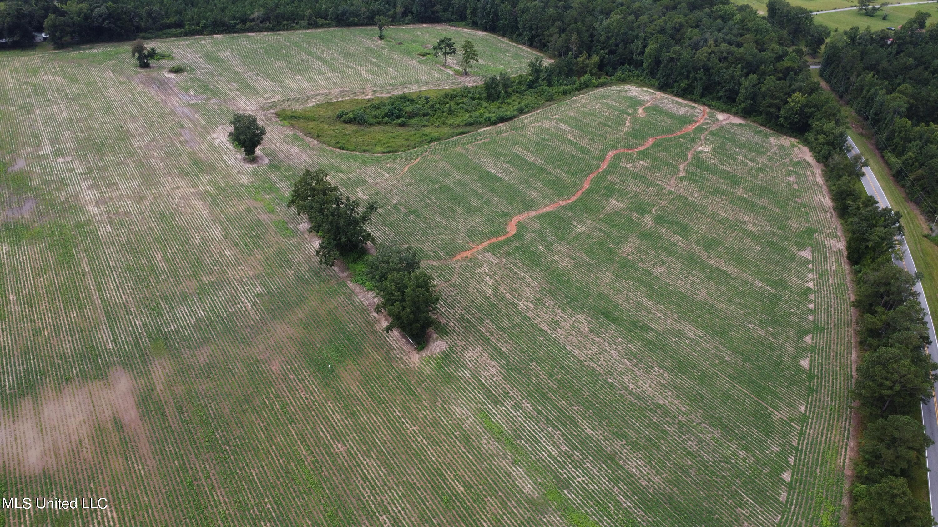 63 Highway 63 North Lucedale, MS 39452 - Photo 4 of 15 4