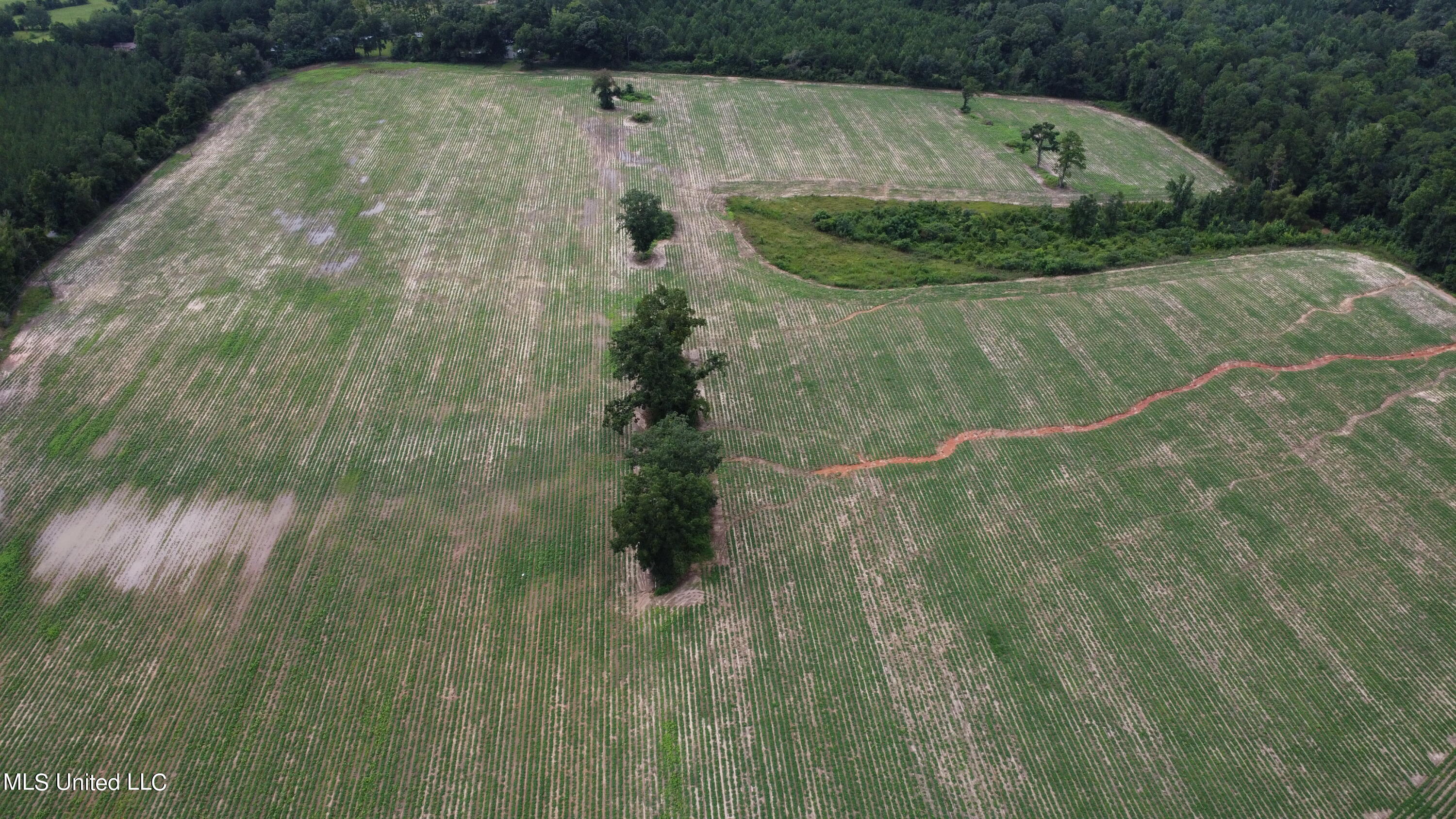 63 Highway 63 North Lucedale, MS 39452 - Photo 6 of 15 6