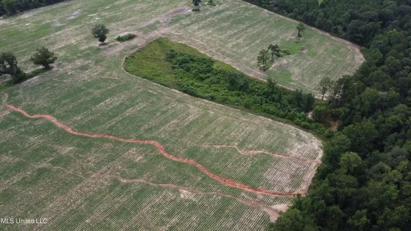 $379,000 | 63 Highway 63 North, Lucedale, MS 39452