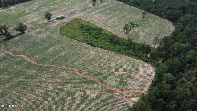 $379,000 | 63 Highway 63 North, Lucedale, MS 39452