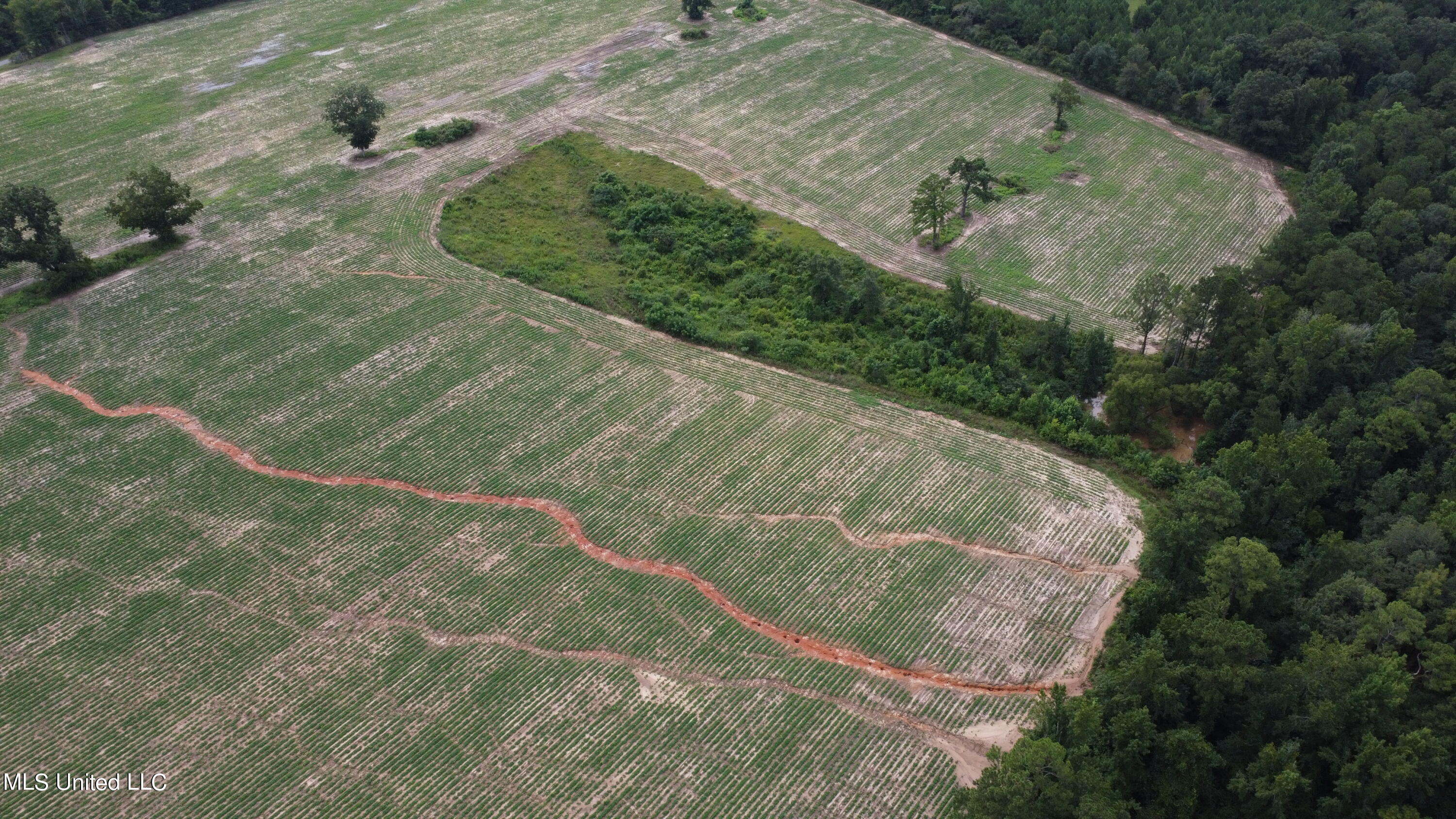 63 Highway 63 North Lucedale, MS 39452 - Photo 8 of 15 8