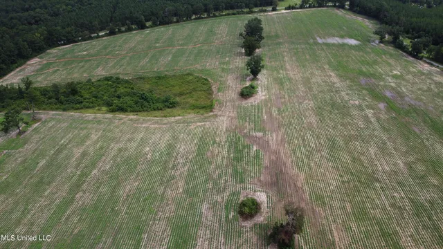 $379,000 | 63 Highway 63 North, Lucedale, MS 39452