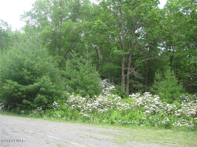 10 Ridge View Road Hawley, PA 18428 - Photo 3 of 4