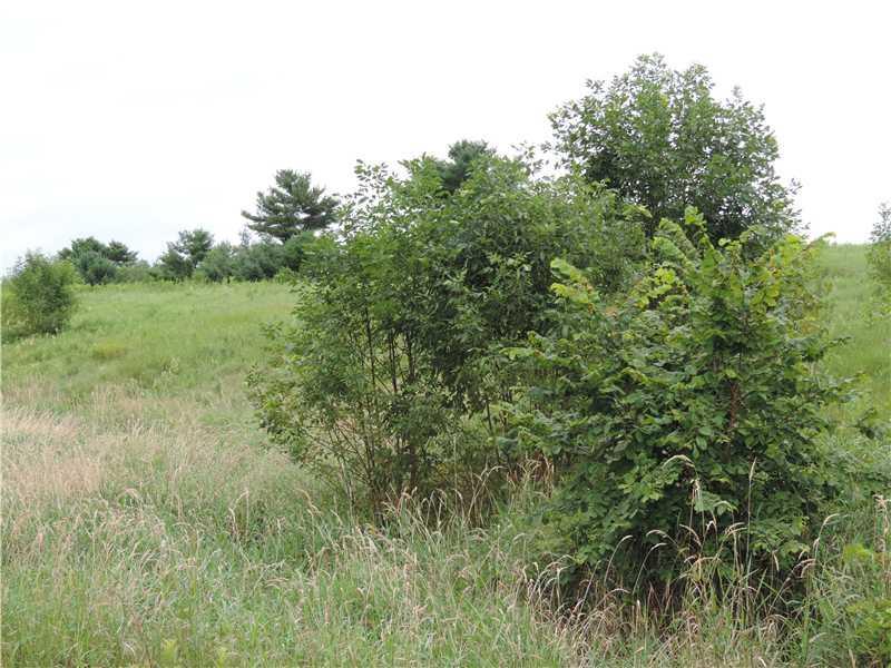 52 Boom & Berry Road Saco, ME 04072 - Photo 5 of 7 Land.