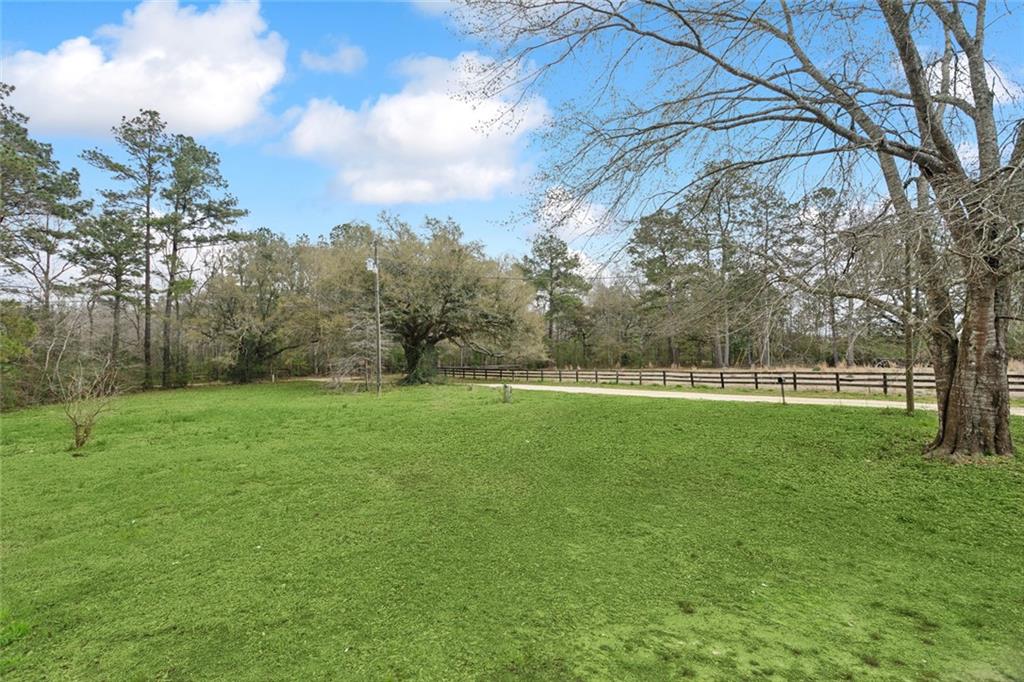 50255 Live Oak Road Folsom, LA 70437 - Photo 26 of 30 Gallery Image 26