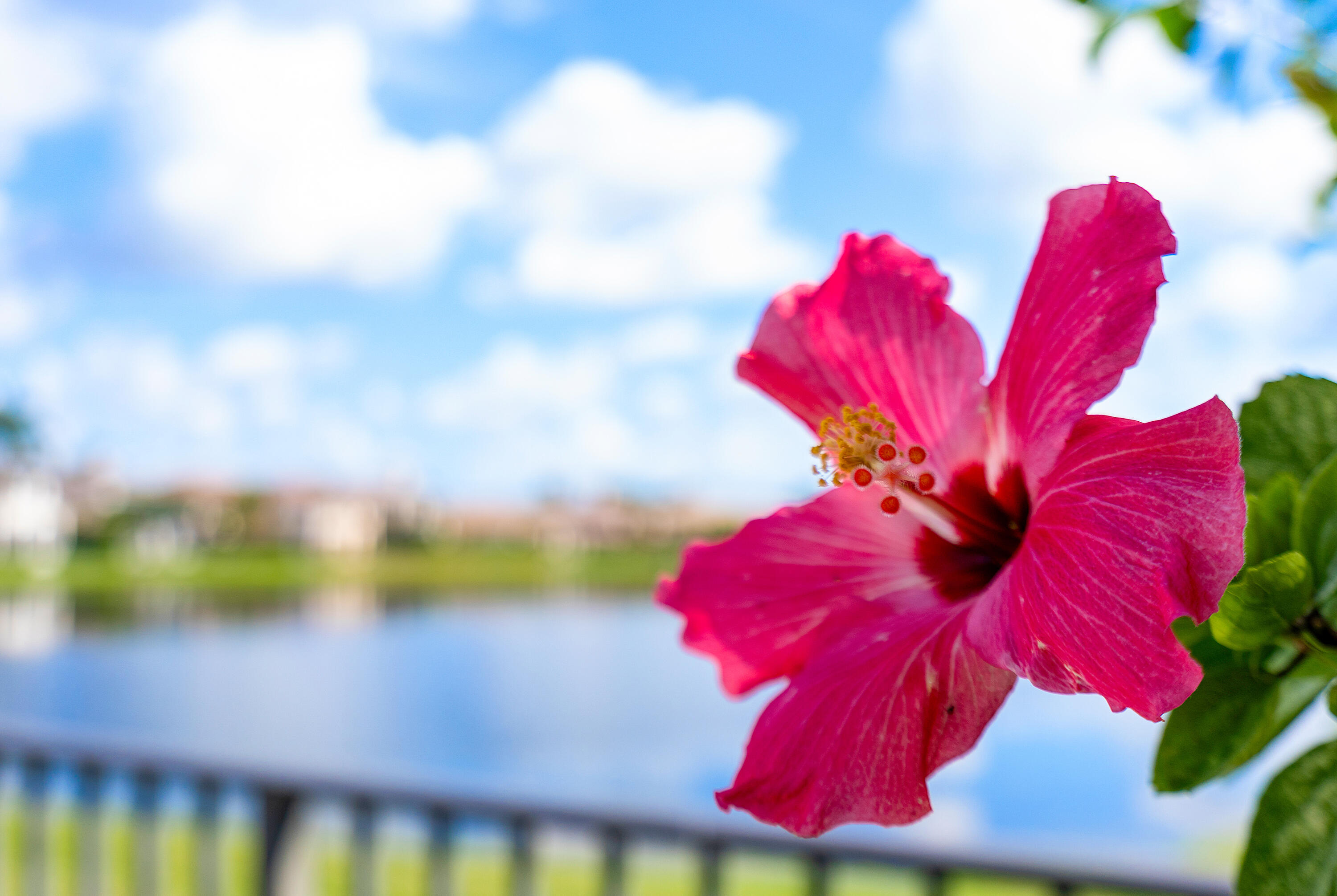 17929 Villa Club Way Boca Raton, FL 33496 - Photo 55 of 98 059-17929VillaClubWay-BocaRaton-FL-33496