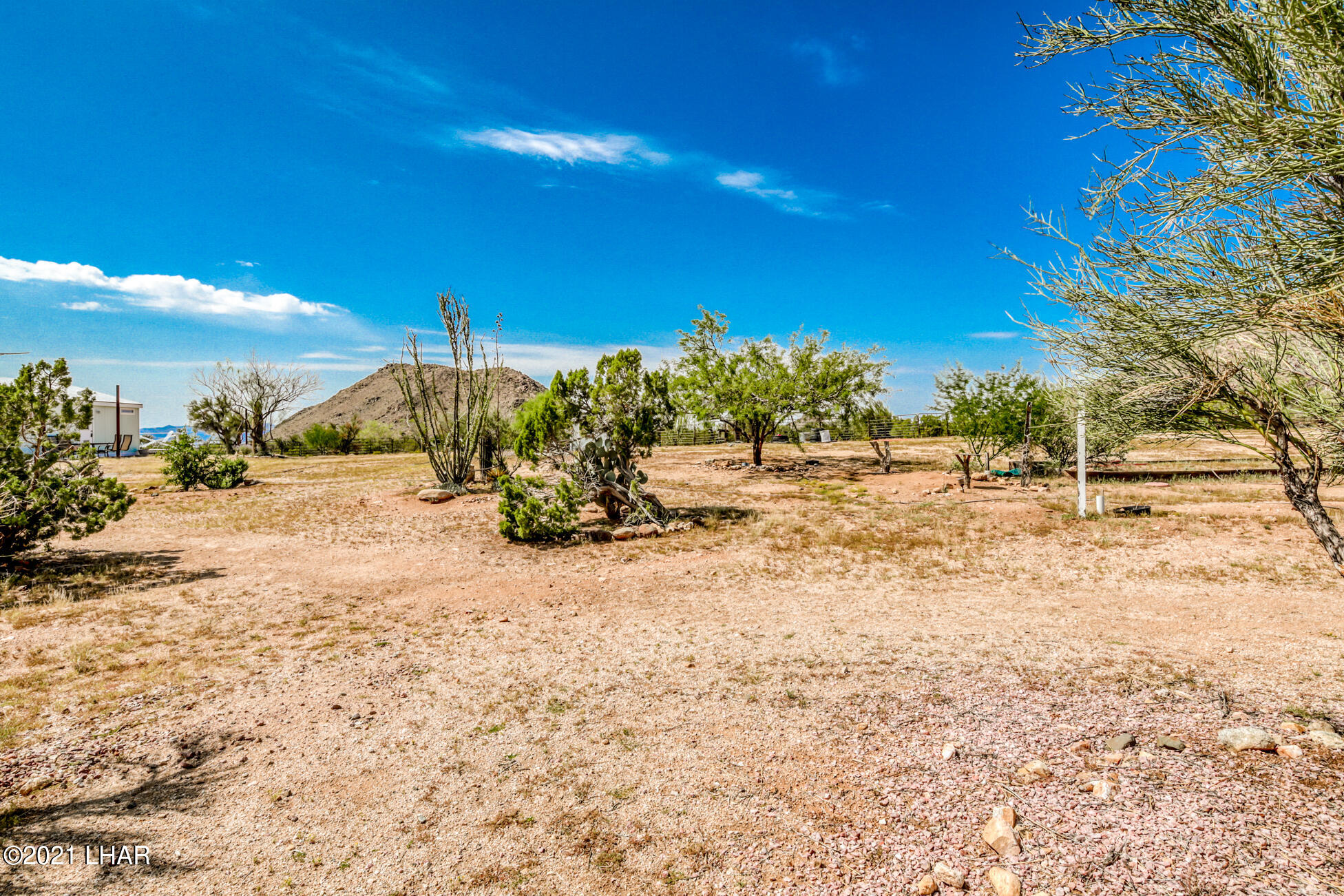 19622 South Cheyenne Road Yucca, AZ 86438 - Photo 34 of 65 Spacious yard